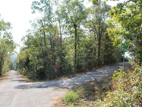 .28 Acre in Sharp County, AR : Cherokee Village : Sharp County : Arkansas
