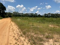 Pond Creek Rd North Lots, 10 Acres : Luverne : Crenshaw County : Alabama