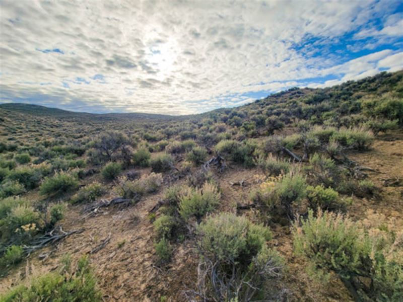 Your Mountain Oasis Awaits : Elko : Elko County : Nevada