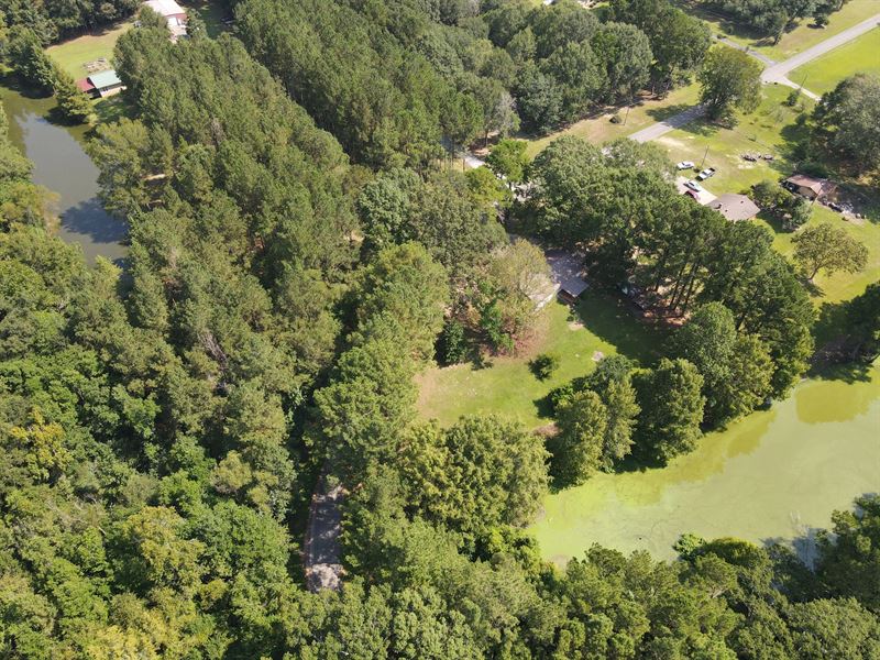Waterfront Retreat on 1.7 Acres : Laurel : Jones County : Mississippi