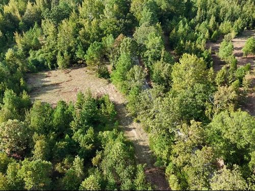 11 Acres in Lafayette County, MS : Oxford : Lafayette County : Mississippi