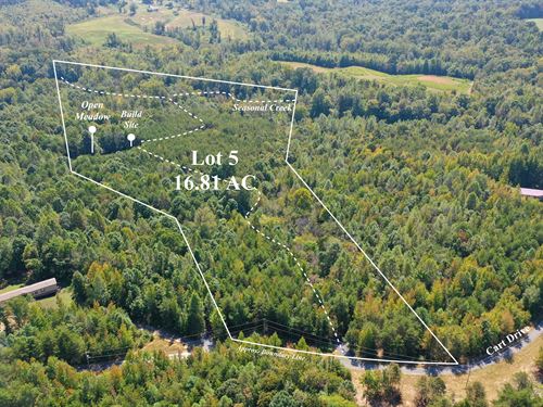 16.81 Acres with Creek and Trails : Reidsville : Rockingham County : North Carolina