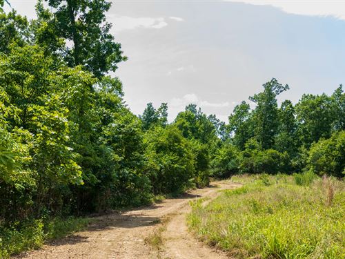 $999 Down Land, Own Today : Piedmont : Reynolds County : Missouri
