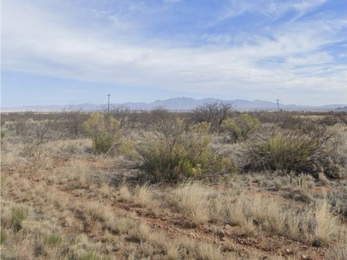 Beautiful Desert Lot : Willcox : Cochise County : Arizona