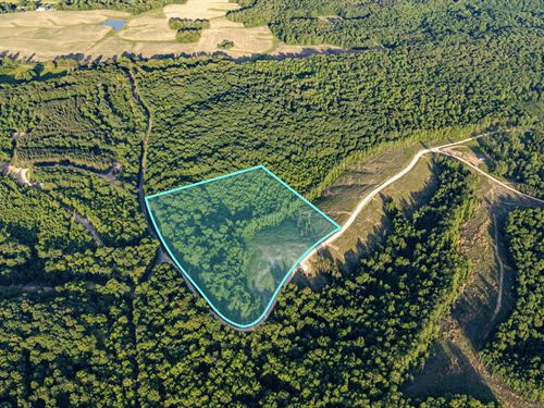 14.4 Acres w Power & Fiber Internet : Dover : Stewart County : Tennessee