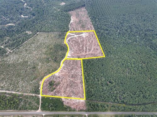 15 Acres, T-3, FM 1416 : Trout Creek : Newton County : Texas