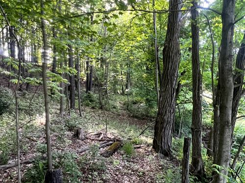 Southern Tier Camp Lot : New Berlin : Chenango County : New York