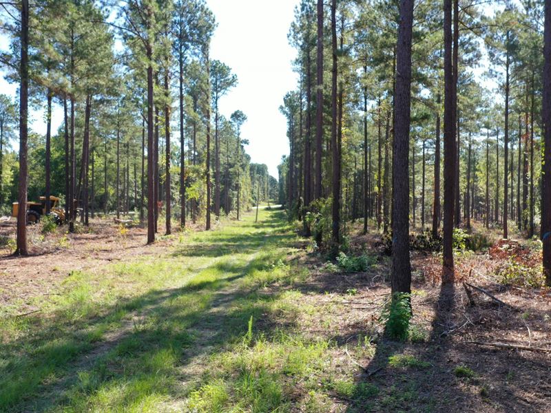 O'quinns Pond Farm, 7.06 Acres : Milledgeville : Baldwin County : Georgia