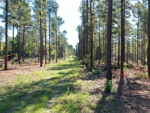 O'quinns Pond Farm, 6.65 Acres : Milledgeville : Baldwin County : Georgia