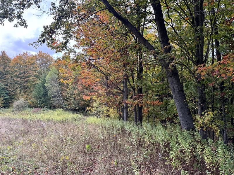 Tug Hill's Finest : Orwell : Oswego County : New York