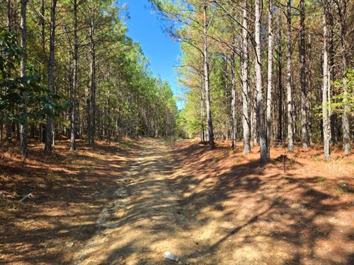 McCord Tract : Centre : Cherokee County : Alabama