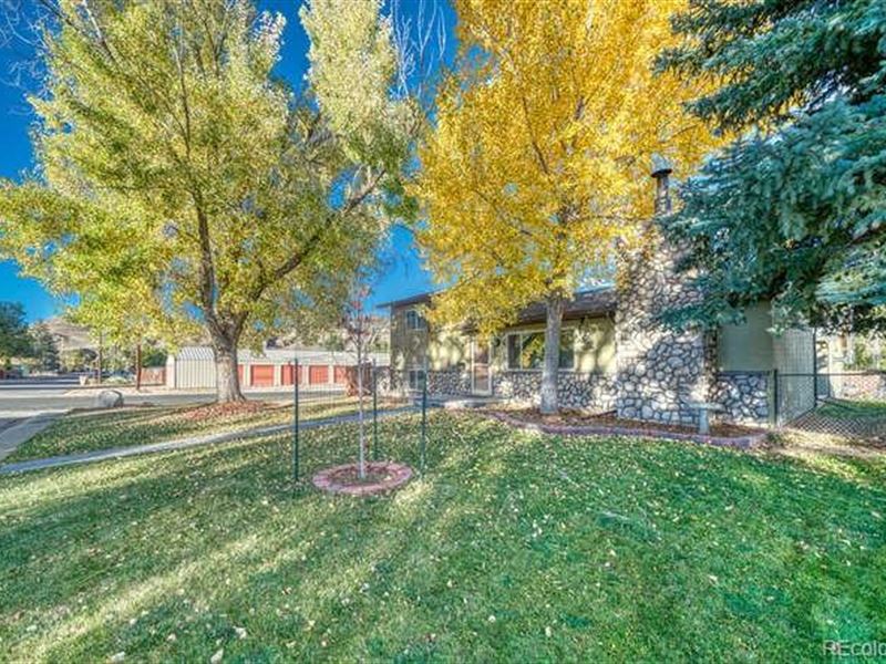 Minutes Form Downtown Salida : Salida : Chaffee County : Colorado