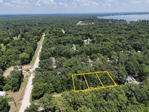 .25Ac Triple Lot RV Ok, City Util : Livingston : Polk County : Texas