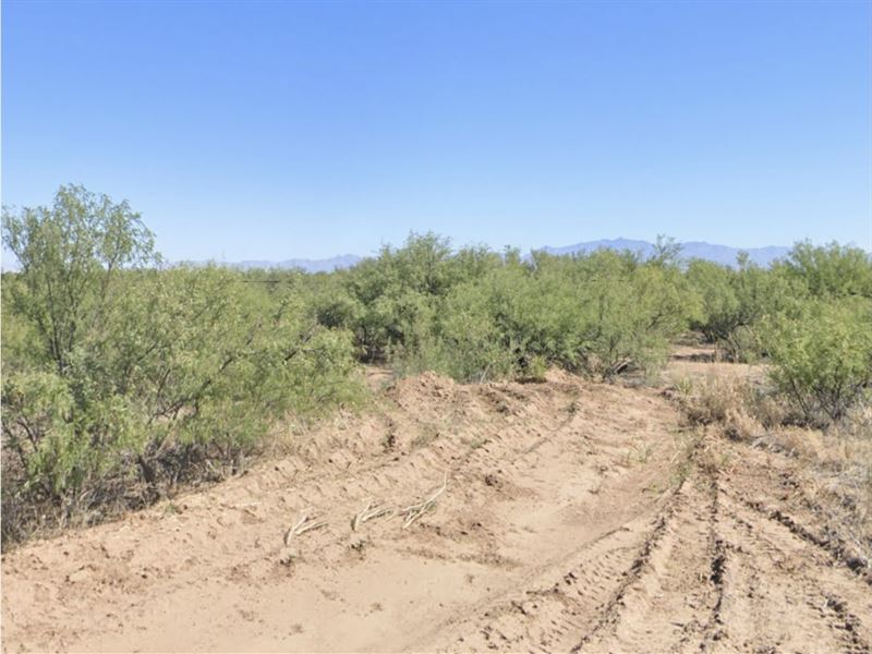 Desert Land Ready to Build : Willcox : Cochise County : Arizona
