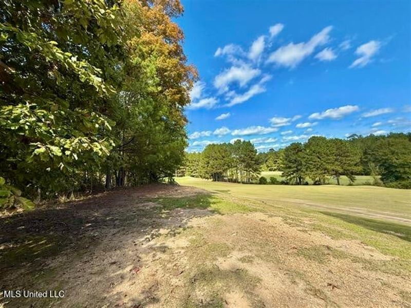 Fairway Haven : Wesson : Copiah County : Mississippi