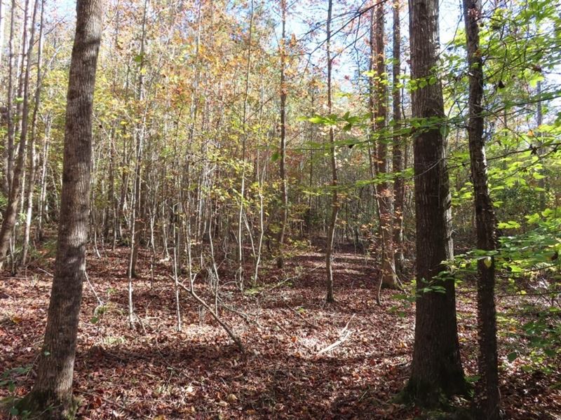 Blackwell Tract : Kershaw : Lancaster County : South Carolina