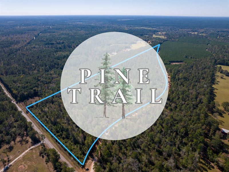 2 Acres, T-1, Eldridge Road, Pin : Cleveland : San Jacinto County : Texas