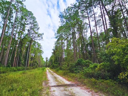 Lote FL $10.9 Mil : Georgetown : Putnam County : Florida