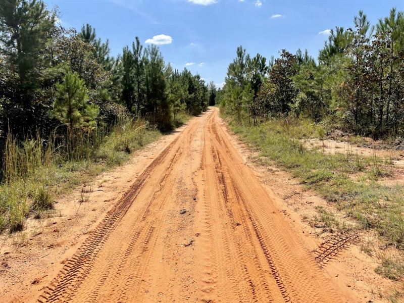 Bridlepath Road Estate Lot Homesite : Jackson : Clarke County : Alabama