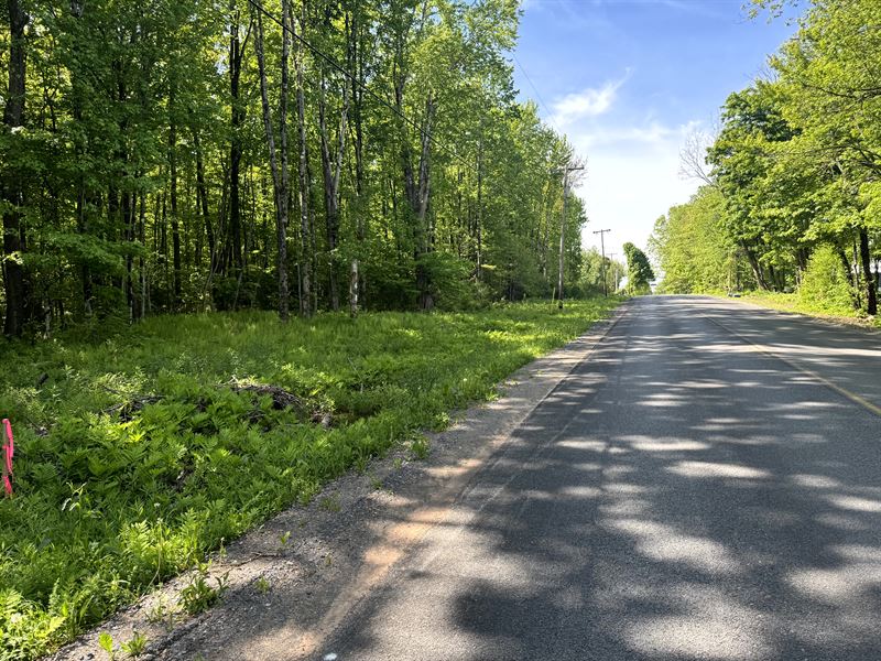 Ideal Home or Cabin Spot : Vienna : Oneida County : New York