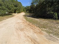 No HOA, Near Water True FL Freedom : Interlachen : Putnam County : Florida