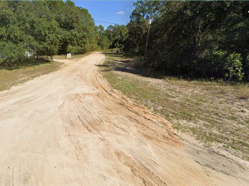 No HOA, Near Water True FL Freedom : Interlachen : Putnam County : Florida