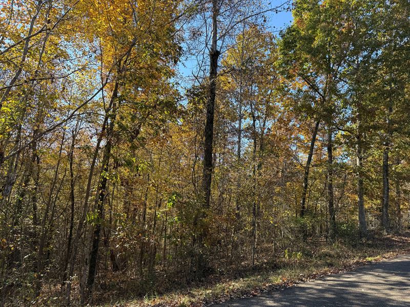 Lot To Build On in Savannah TN : Savannah : Hardin County : Tennessee