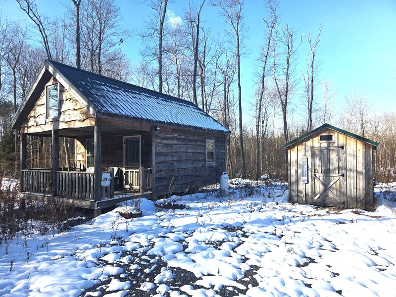 Camp Whitetail : Lewis : Lewis County : New York