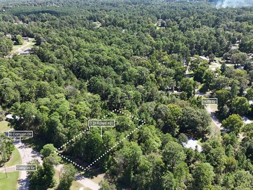 .31 Acre TX Lot, Utilities Lake : Onalaska : Polk County : Texas