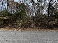 Horseshoe Bend Wooded Buildable Lot : Horseshoe Bend : Fulton County : Arkansas