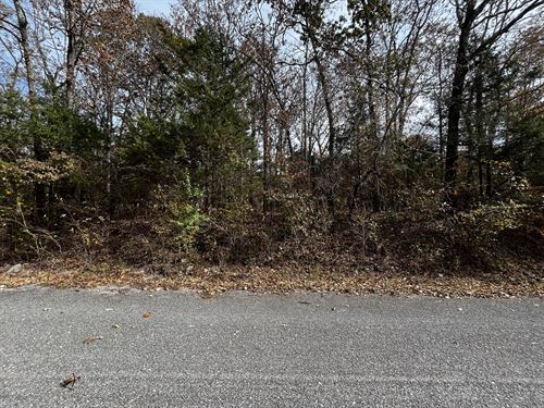 Horseshoe Bend Wooded Buildable Lot : Horseshoe Bend : Fulton County : Arkansas