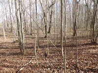 Creek, Level, Paved Road Frontage : Evansville : Bledsoe County : Tennessee