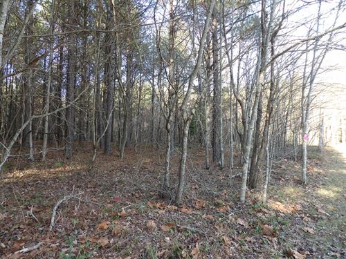 Creek, Paved Road Frontage, Level : Evansville : Bledsoe County : Tennessee