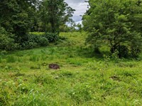 Beautiful Property in Santa Teresit : Turrialba : Costa Rica