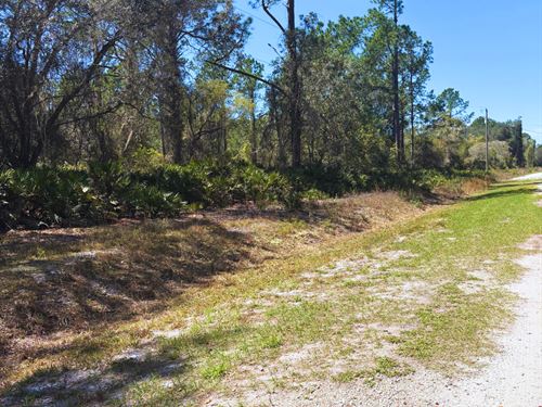 Finance Lot $195/Mo, Lake Access : Georgetown : Putnam County : Florida