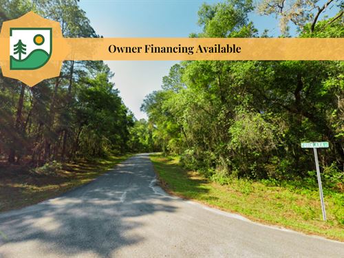 Near Rainbow Springs, FL $503/Mo : Dunnelon : Citrus County : Florida