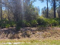 Lake Access FL Lot Only $195/Mo : Georgetown : Putnam County : Florida