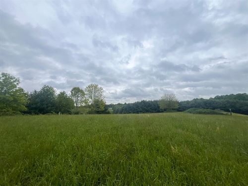 Crall Rd, 6 Acres : Scio : Harrison County : Ohio