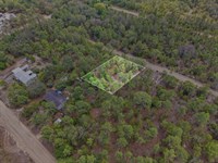 South of Lady Slipper Lake, $266/Mo : Interlachen : Putnam County : Florida