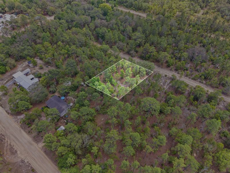 South of Lady Slipper Lake, $266/Mo : Interlachen : Putnam County : Florida