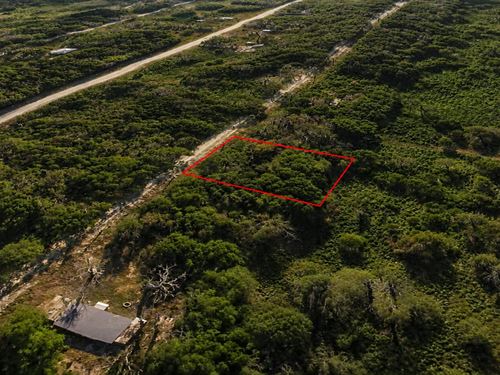.33 Acre Wooded, Trinity River : Trinity : Walker County : Texas