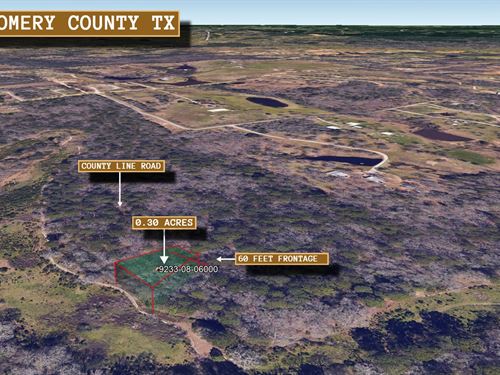 .3 Acre Pine Trees, Views, $300/M : Willis : Montgomery County : Texas
