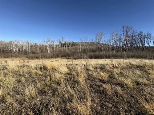 1654 Cary Lane, Ft Garland, CO 81 : Fort Garland : Costilla County : Colorado