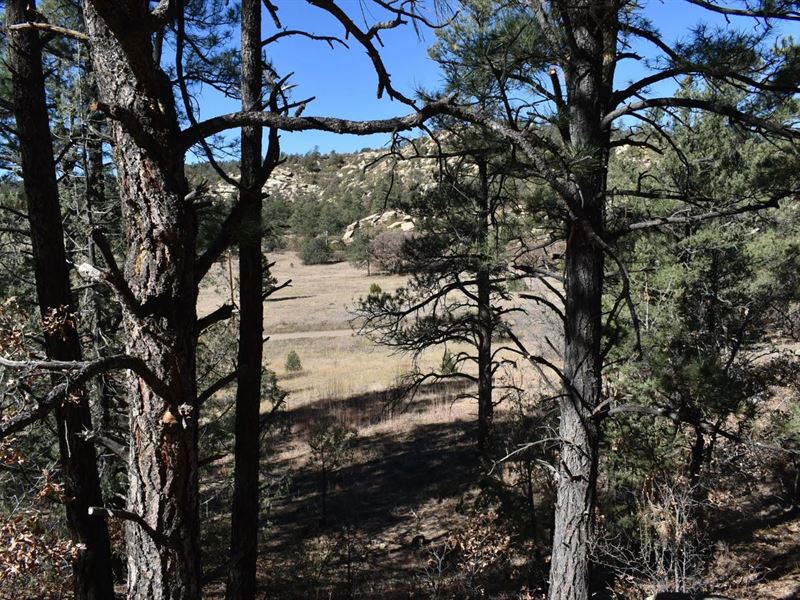 268-269 Rancho LA Garita Filing No : Weston : Huerfano County : Colorado