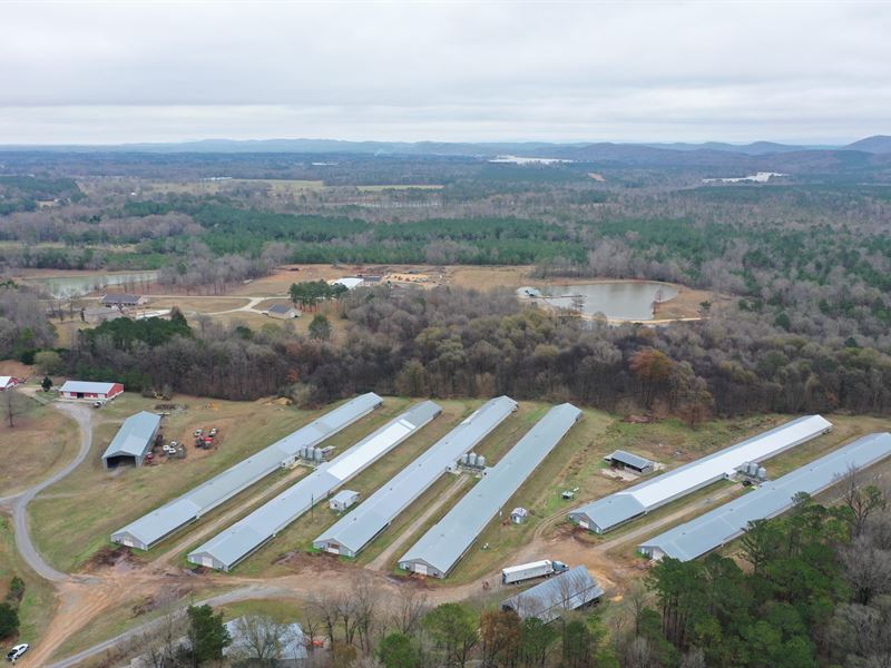 Tran Family Farm : Ashville : Saint Clair County : Alabama