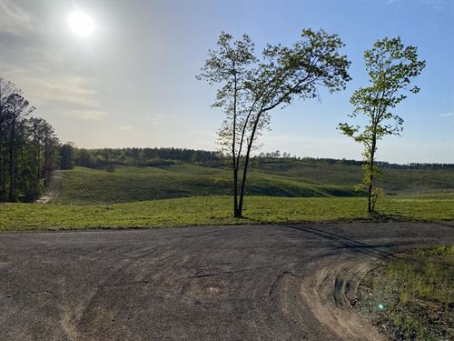 Land for Sale in Tn, 7.6 Ac : Bethel Springs : McNairy County : Tennessee