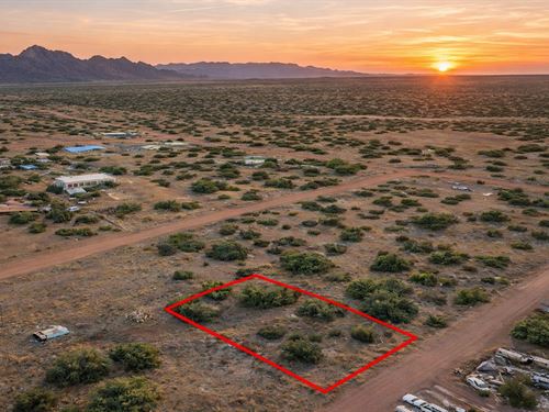 .27 Acre, Mountain Views, $200 : Show Low : Navajo County : Arizona