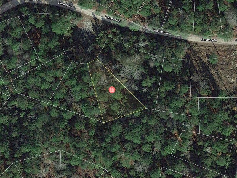 .25 Acre Wooded Lakefront Access : Brookeland : Jasper County : Texas