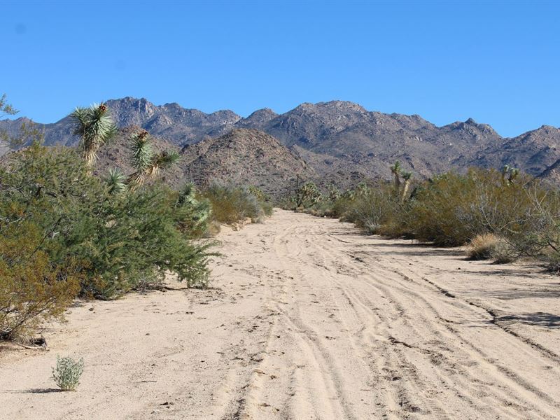 2.21 Acres with Power Close & Easy : Yucca : Mohave County : Arizona