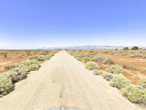 $117.80/Mo, Paved, Desert Views : California City : Kern County : California